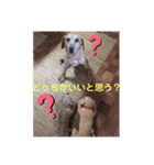エリーちゃん（個別スタンプ：15）