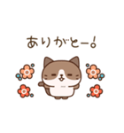 優しい気づかいねこさん（個別スタンプ：13）