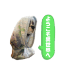 イッヌスタンプ ②（個別スタンプ：17）