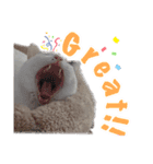 ミスターたまお（個別スタンプ：11）