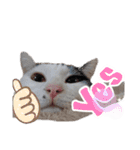 ミスターたまお（個別スタンプ：12）