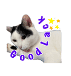 ミスターたまお（個別スタンプ：13）