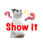 ミスターたまお（個別スタンプ：15）
