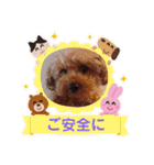 あっちゃんがハッピーハッピースタンプ（個別スタンプ：19）