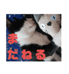 あっちゃんがハッピーハッピースタンプ（個別スタンプ：28）