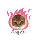 猫時々…犬（個別スタンプ：2）