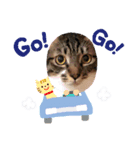 猫時々…犬（個別スタンプ：3）