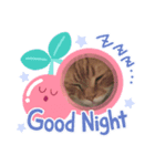 猫時々…犬（個別スタンプ：4）