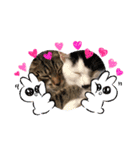猫時々…犬（個別スタンプ：6）