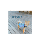 天心スタンプ。（個別スタンプ：2）