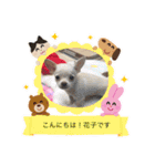 うちの花子のスタンプ（個別スタンプ：9）