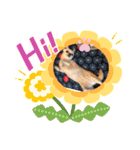 うちの花子のスタンプ（個別スタンプ：21）