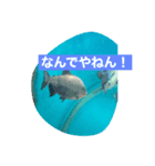 関西弁デカ文字（個別スタンプ：2）