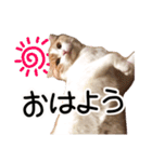 ななとここの日常（個別スタンプ：2）