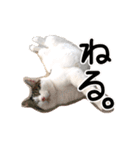 ななとここの日常（個別スタンプ：4）