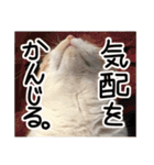 ななとここの日常（個別スタンプ：6）