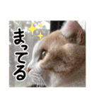 ななとここの日常（個別スタンプ：7）
