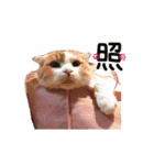 ななとここの日常（個別スタンプ：9）