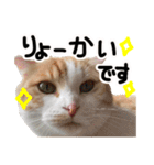 ななとここの日常（個別スタンプ：12）