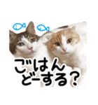ななとここの日常（個別スタンプ：13）