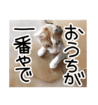 ななとここの日常（個別スタンプ：14）