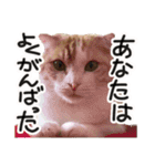ななとここの日常（個別スタンプ：16）