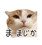ななとここの日常（個別スタンプ：17）