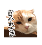ななとここの日常（個別スタンプ：18）