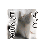 ななとここの日常（個別スタンプ：20）