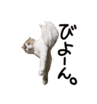 ななとここの日常（個別スタンプ：22）