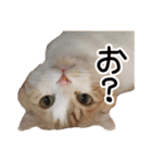ななとここの日常（個別スタンプ：23）