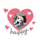 ❤Makiko's Family❤（個別スタンプ：9）