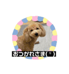 ❤Makiko's Family❤（個別スタンプ：15）