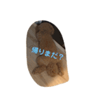 トイの日常スタンプ2（個別スタンプ：22）