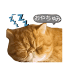 sの1日part6（個別スタンプ：1）
