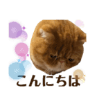 sの1日part6（個別スタンプ：8）