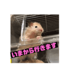 僕ベーコン（個別スタンプ：6）