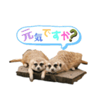 あにまるスタンプ 1（個別スタンプ：20）