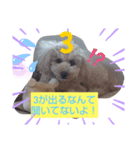 モコモコズ 第3弾（個別スタンプ：1）