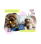 モコモコズ 第3弾（個別スタンプ：3）