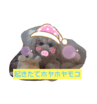 モコモコズ 第3弾（個別スタンプ：8）