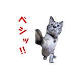 AKKNスタンプ（個別スタンプ：3）