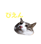 AKKNスタンプ（個別スタンプ：4）