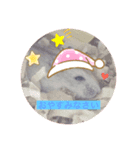 ハムちゃんのクゥちゃん コロちゃん（個別スタンプ：1）