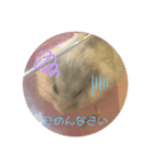ハムちゃんのクゥちゃん コロちゃん（個別スタンプ：6）