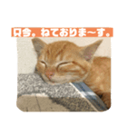 ちゃちゃの気まぐれ（個別スタンプ：3）