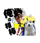 癒しのポン太（個別スタンプ：6）