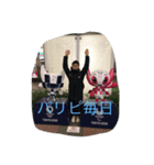 だいきんぐですよろしく（個別スタンプ：4）