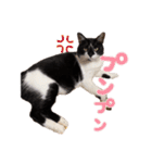 ぶちゃとなな（個別スタンプ：7）