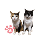 ぶちゃとなな（個別スタンプ：9）